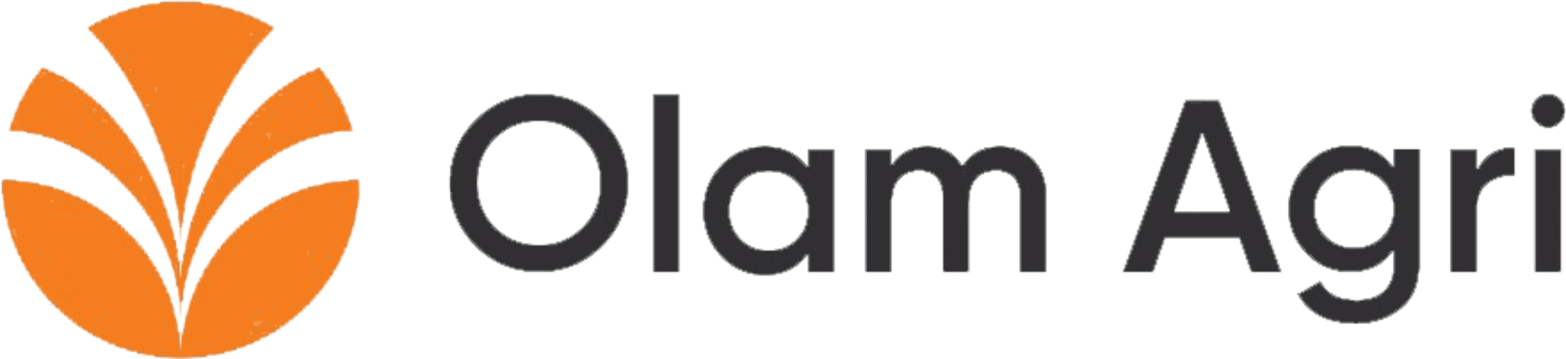 Olam